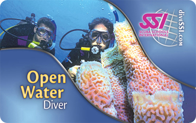 Open Water Diver (OWD)